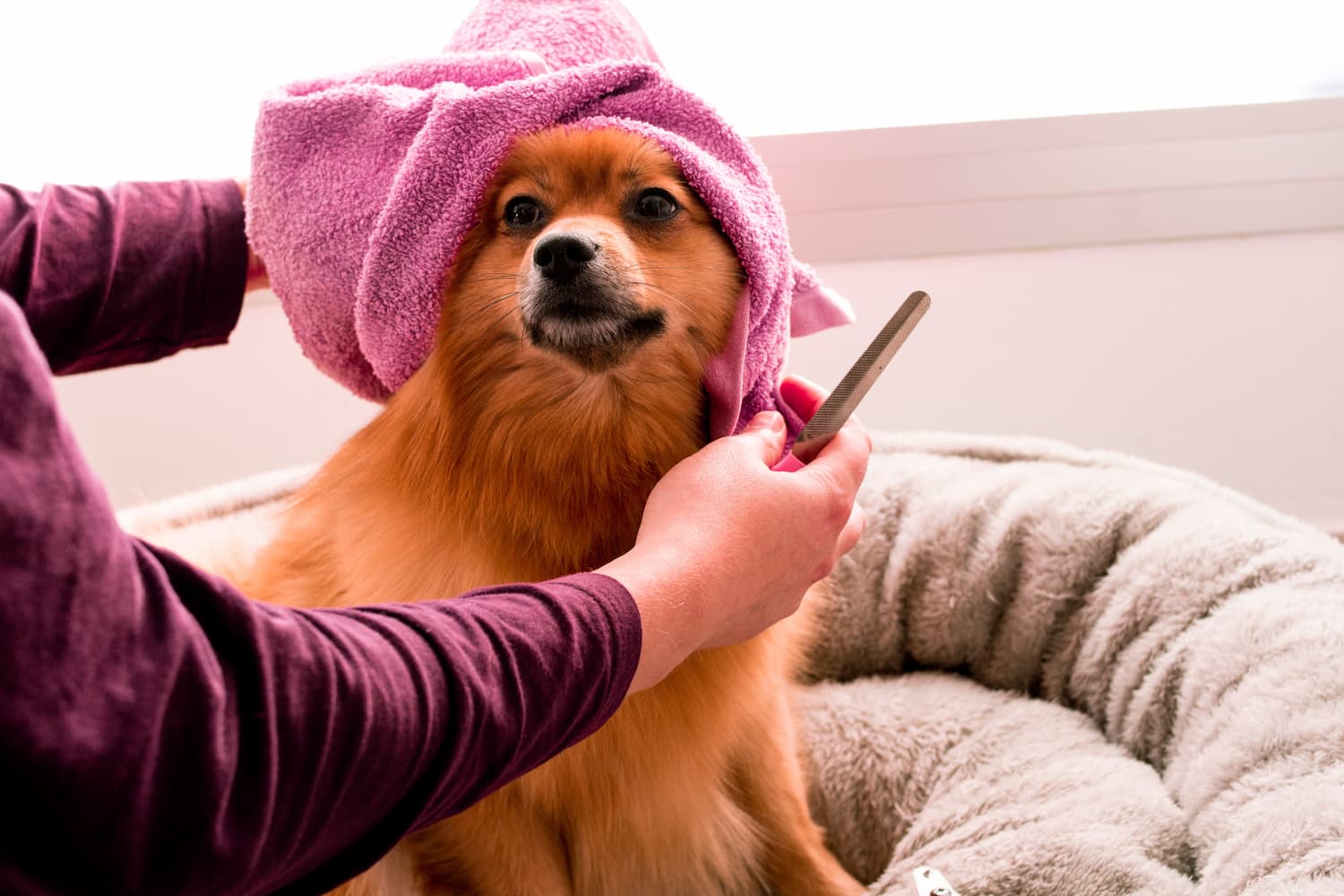 Grooming at home? Here’s some safety tips!